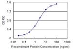 AATF Antibody in ELISA (ELISA)