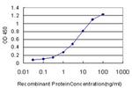 BSCL2 Antibody in ELISA (ELISA)