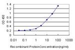 NGFRAP1 Antibody in ELISA (ELISA)