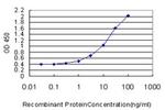 KCNMB3 Antibody in ELISA (ELISA)