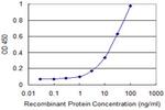 KCNMB3 Antibody in ELISA (ELISA)