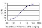 AFF4 Antibody in ELISA (ELISA)