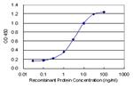 HSPB7 Antibody in ELISA (ELISA)