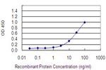 EIF2C2 Antibody in ELISA (ELISA)