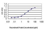 HTRA2 Antibody in ELISA (ELISA)