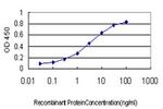 HTRA2 Antibody in ELISA (ELISA)