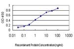 HTRA2 Antibody in ELISA (ELISA)