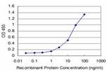 DLL1 Antibody in ELISA (ELISA)