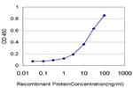 HUNK Antibody in ELISA (ELISA)