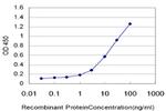 HUNK Antibody in ELISA (ELISA)