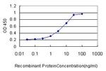 PIK3R4 Antibody in ELISA (ELISA)