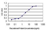 TAX1BP3 Antibody in ELISA (ELISA)