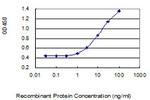 LACTB2 Antibody in ELISA (ELISA)