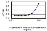 ANGPTL4 Antibody in ELISA (ELISA)