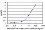 IRAK4 Antibody in ELISA (ELISA)