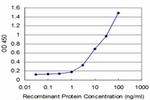 IRAK4 Antibody in ELISA (ELISA)