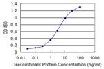 PIGP Antibody in ELISA (ELISA)