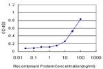 TLR7 Antibody in ELISA (ELISA)