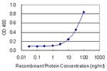 DACT1 Antibody in ELISA (ELISA)