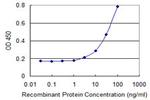 NCKIPSD Antibody in ELISA (ELISA)