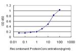 AZIN1 Antibody in ELISA (ELISA)