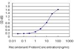 GHRL Antibody in ELISA (ELISA)