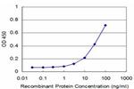 GHRL Antibody in ELISA (ELISA)