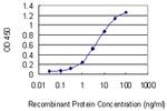 CRKRS Antibody in ELISA (ELISA)