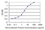 CALML5 Antibody in ELISA (ELISA)