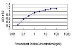 GPR84 Antibody in ELISA (ELISA)