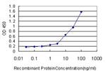 TLR9 Antibody in ELISA (ELISA)