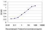 TREM1 Antibody in ELISA (ELISA)