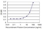 UGT1A3 Antibody in ELISA (ELISA)