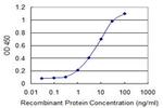 RRN3 Antibody in ELISA (ELISA)