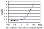 DPP8 Antibody in ELISA (ELISA)