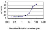 FLJ20643 Antibody in ELISA (ELISA)