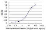 UBA6 Antibody in ELISA (ELISA)