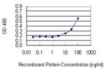 VNN3 Antibody in ELISA (ELISA)