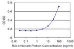 PSARL Antibody in ELISA (ELISA)