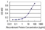 MFN1 Antibody in ELISA (ELISA)