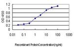 N4BP2 Antibody in ELISA (ELISA)