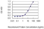 IL26 Antibody in ELISA (ELISA)