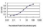 IL1F9 Antibody in ELISA (ELISA)