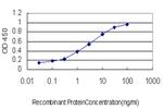 CTNNBIP1 Antibody in ELISA (ELISA)