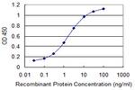 CTNNBIP1 Antibody in ELISA (ELISA)