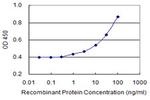 KLP1 Antibody in ELISA (ELISA)