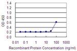 ADCK1 Antibody in ELISA (ELISA)