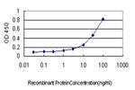 SALL4 Antibody in ELISA (ELISA)