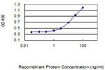 KIAA1191 Antibody in ELISA (ELISA)