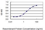 SLC45A4 Antibody in ELISA (ELISA)